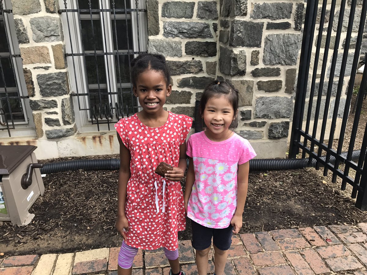 Lee Montessori Board tweet media