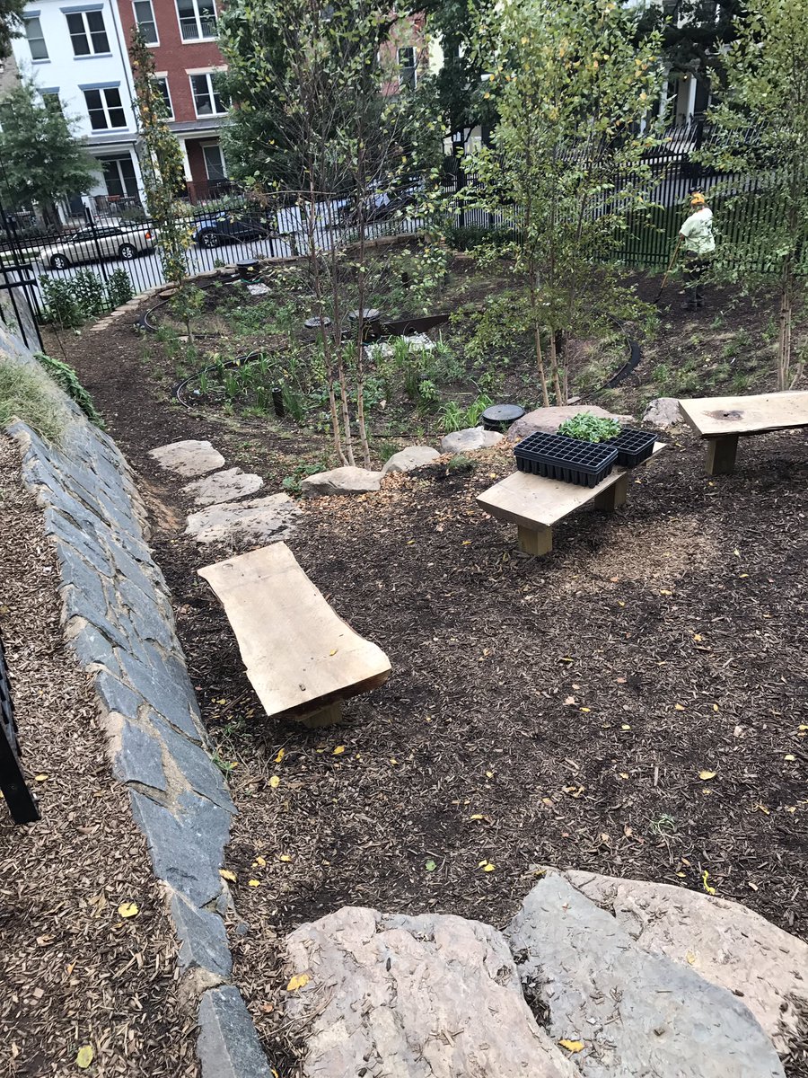 Lee Montessori Board tweet media