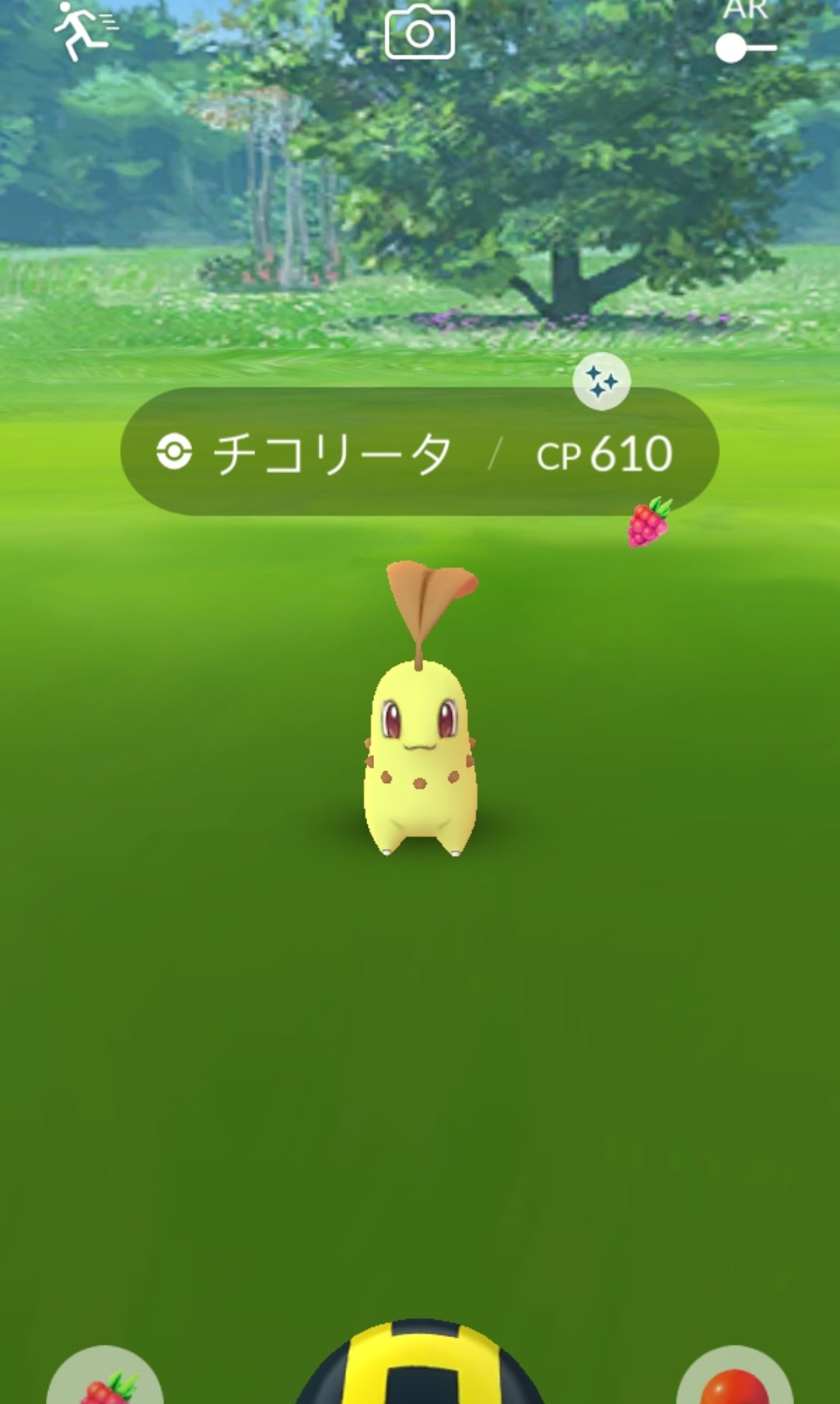 P Chan ポケモンgo チコリータ セニョリータ キラリんしてラッキー ӧｖӧ メガニウムいい感じ W ポケモンgo チコリータ 色違い メガニウム T Co Gbzk3dlvqd Twitter