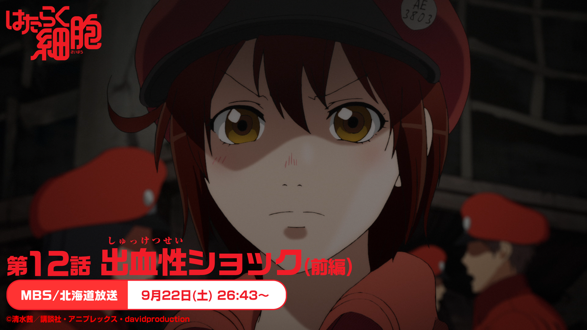 はたらく細胞 公式 در توییتر Mbs 北海道放送 はたらく細胞 第12話放送開始まであと10分 この後26時43分よりmbs 北海道放送にて 第12話 出血性ショック 前編 が放送開始です 通常より5分押しとなります 放送 配信情報 T Co Zfm1gasqgi お