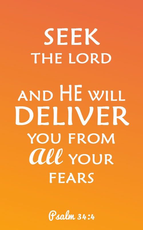 TheonlywaytoGod's tweet image. I sought the LORD, and he heard me, and delivered me from all my fears.
~ Psalm 34:4 ~