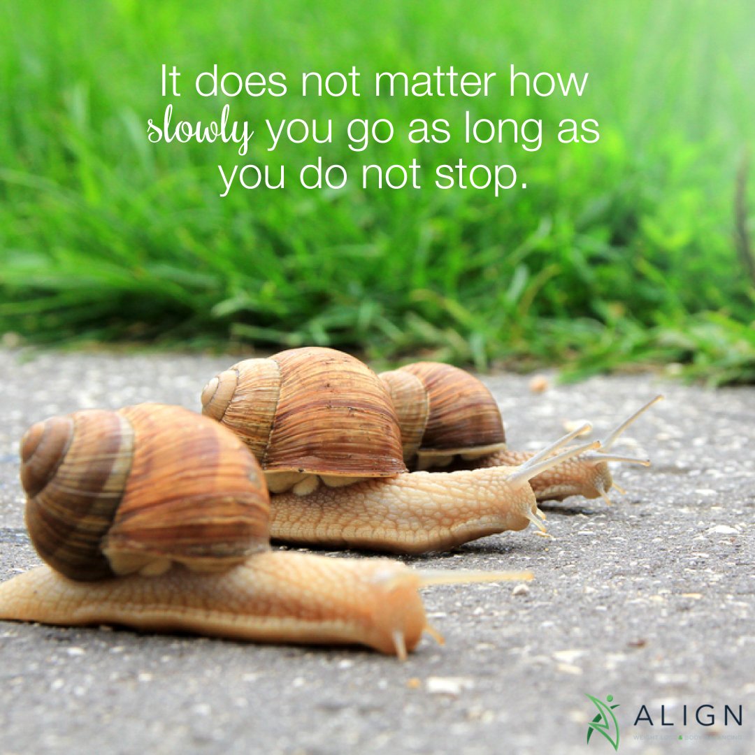 alignweightloss's tweet image. It does not matter how slowly you go as long as you don't stop. #WeightLoss #BodyBalancing