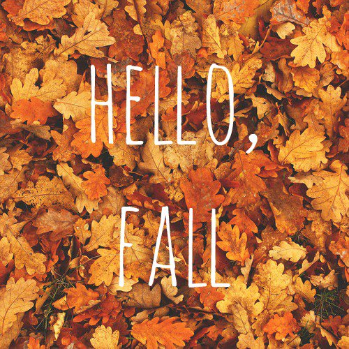ClintarHamilton's tweet photo. First day of Fall is today! Are you ready for the falling leaves (and pumpkin spice everything)? Contact us to get started on fall property cleanups! #HamOnt #StoneyCreek #dundasont #ancasterontario #clintar https://t.co/ZcgXgNOZl6