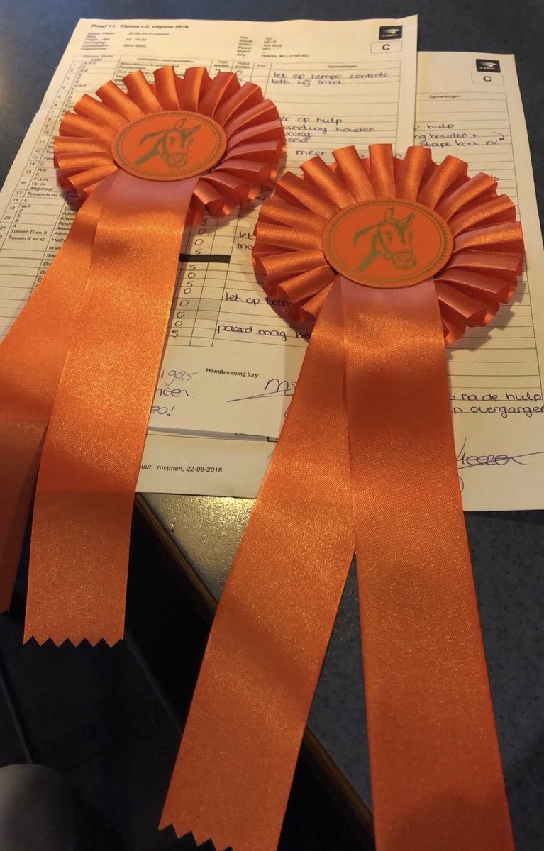kimmschmid's tweet photo. Wolé - the sweetest horse 💙 #first_ever_competition 💪🏻 https://t.co/unZ21v2vei