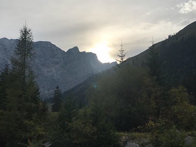 fernwehblues's tweet photo. Sonnenuntergang 🌅 in den Bergen ⛰🍁 #wandern #hiking #inlovewithnature #mountain #berge #weitsicht #ausblick #view #engtal #engalm #austria #österreich #nofilter #sunset #sonnenuntergang https://t.co/gtC4OKhEJZ https://t.co/DZKz4w8Gsg