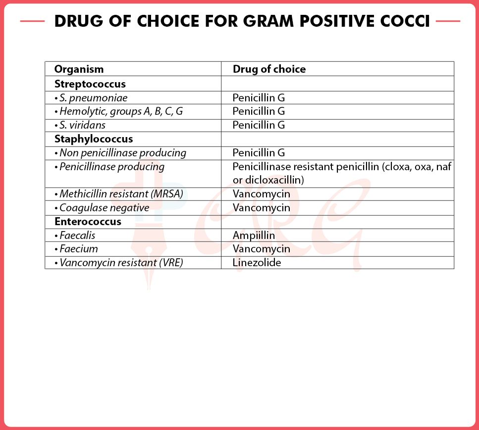 dr_sammd's tweet photo. DRUGS OF CHOICE ๐๐โ๏ธ (16,17,18,19)
#DOC #Pharma #SammyNote #ReviewOfPharmacology #MedEd #GobindRaiGarg #SparshGupta #PGMEE #NEET #USMLE #AIIMS #PGI #DrugsOfChoice #MedTwitter #MedLife #MedWorld https://t.co/v21SRHqBBQ