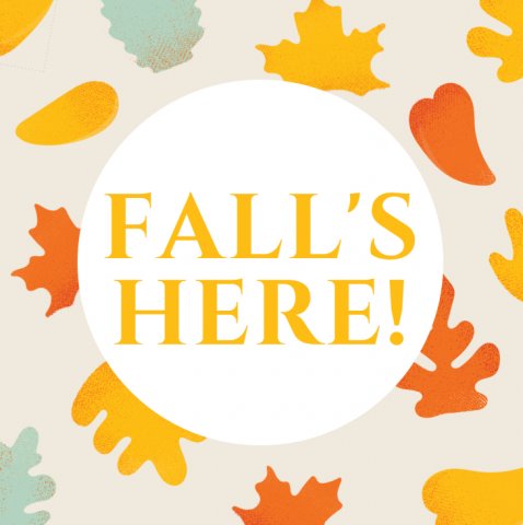 As the leaves change colors, we remain rooted to serving the community in the best way we know how!