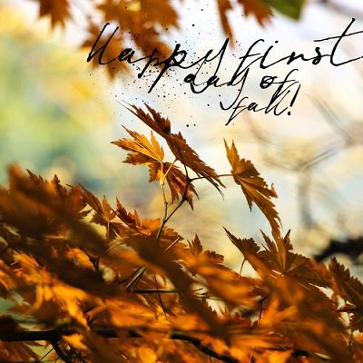 HeritageandComp's tweet photo. Happy first day of fall everyone! Time for fall clean ups, aerations, and winterizations! Call today for your quote! 
248-393-1311
https://t.co/MYb5G7T148 https://t.co/vkSCsg9GLg