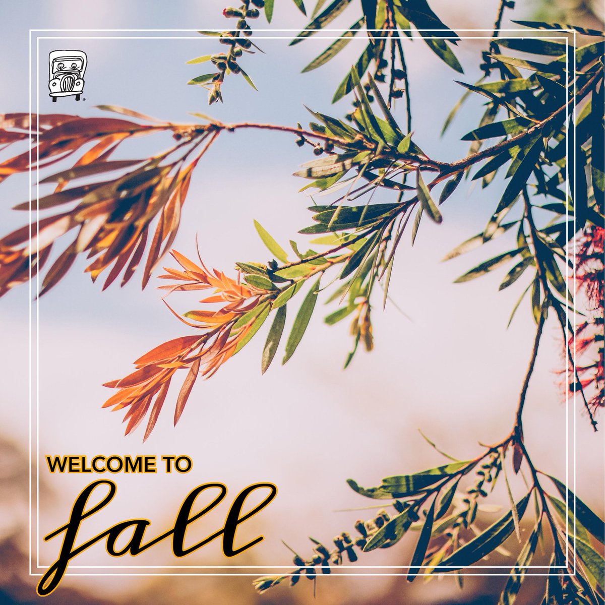 twomennphoenix's tweet photo. Happy Autumn! Cooler temps are right around the corner... https://t.co/LlY1I1sdiz