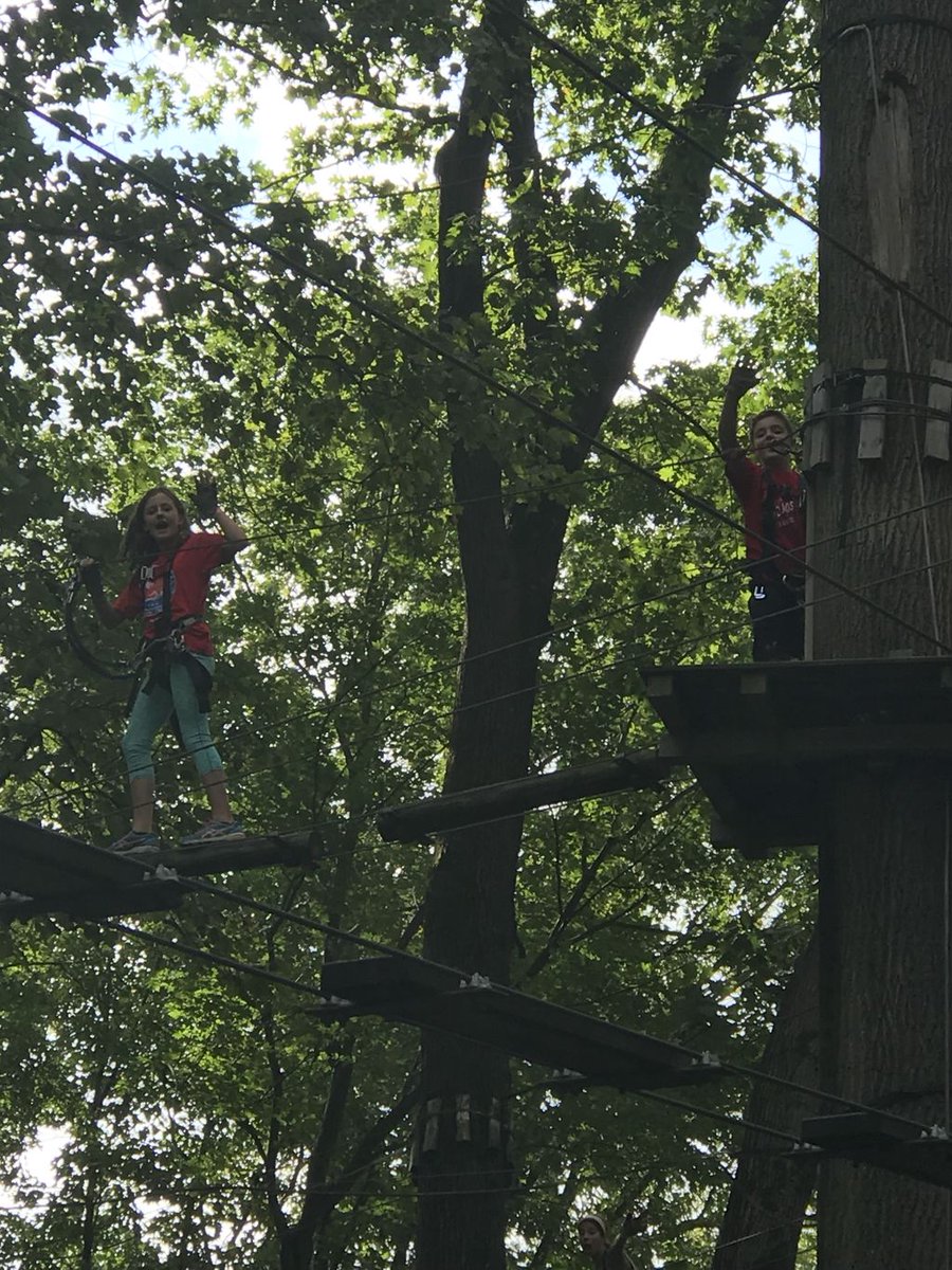 NCAPswim's tweet photo. NCAP Georgetown Prep takes to the trees in their annual kickoff event. #GONCAP https://t.co/QUyhJMS2dZ