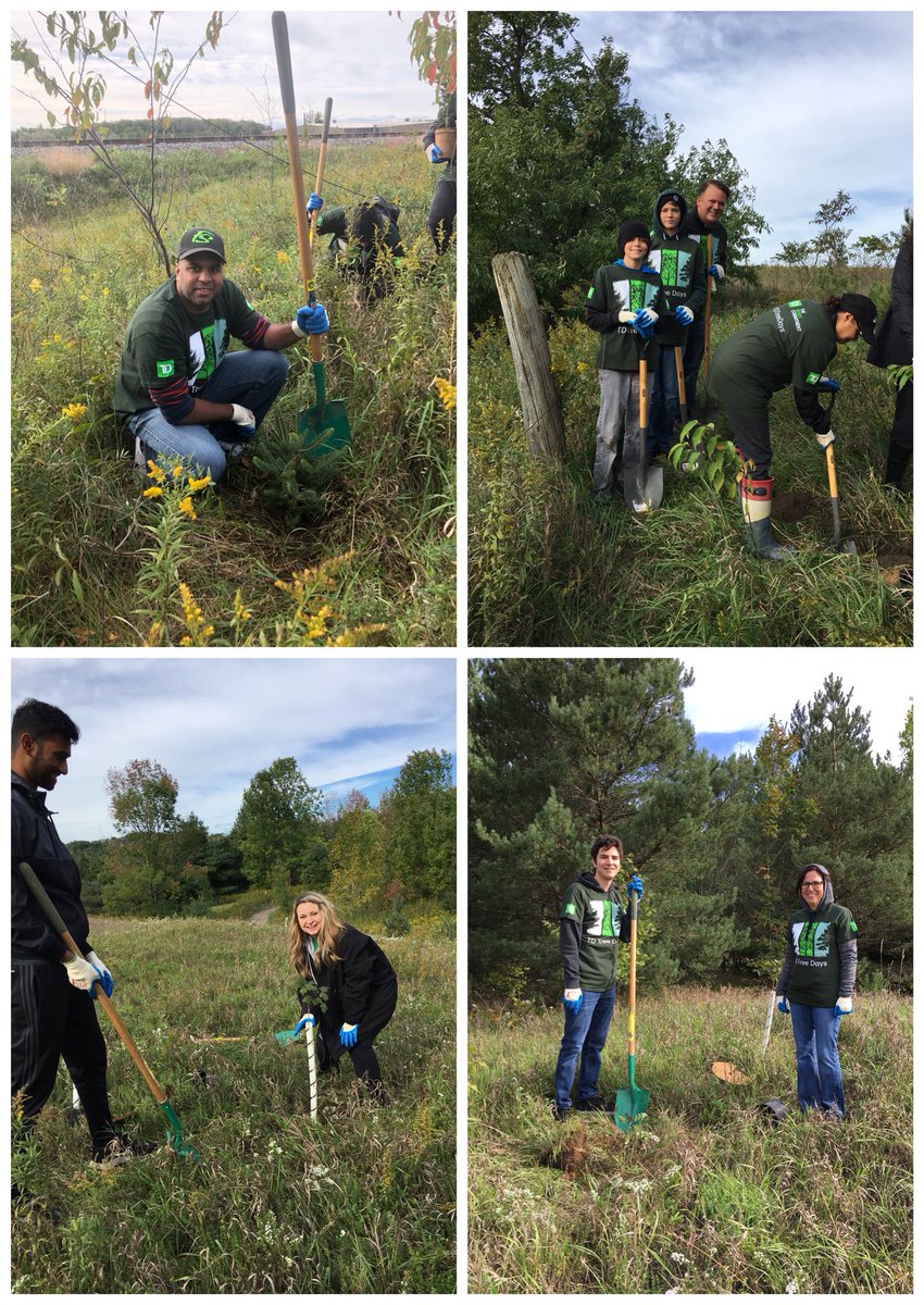 D-Town team at Purple woods in Oshawa planted 300 trees. #TDTreedays @ChrisStamper_45