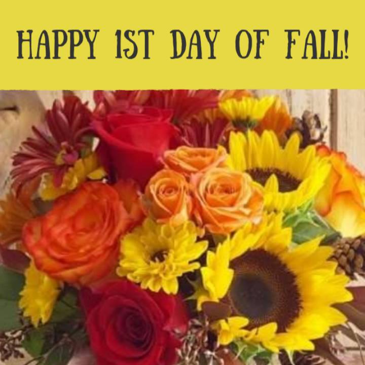 JohnsonFlorist's tweet photo. https://t.co/aom6NlvjjF