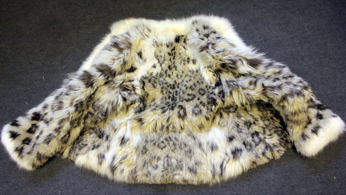 GatelyMark's tweet photo. UK man sentenced to just 200 hours community service after pleading guilty to illegally trading fur coats made from leopards, ocelots, lynx and wolves, via @EIA_news https://t.co/mCgC4LYZbK https://t.co/FVCxZ1KR4l