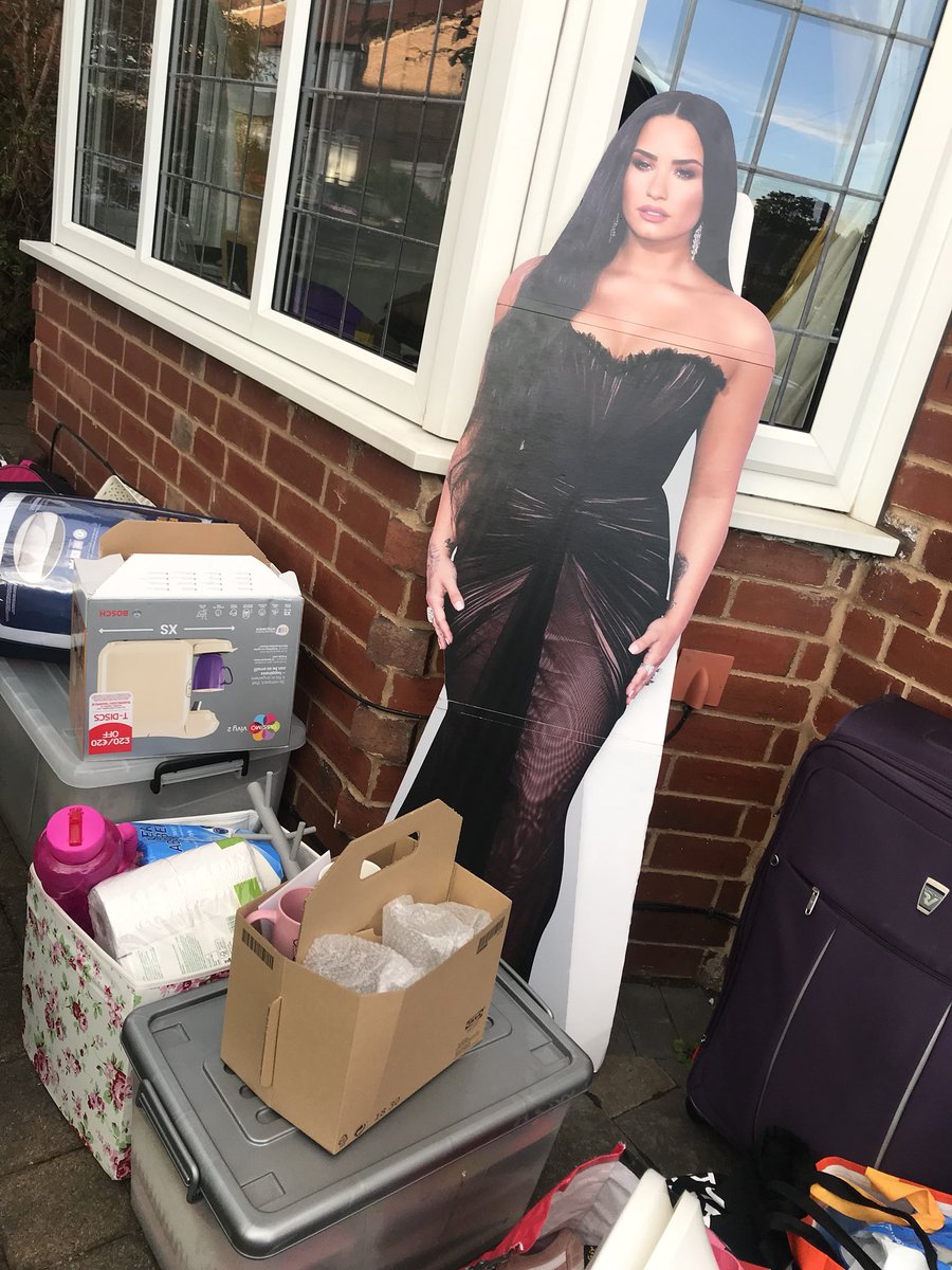 lonelyftlovato's tweet photo. Demi and i moved to university today🤪 https://t.co/XmPk2ogEXk