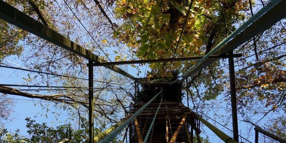 sudouest's tweet photo. Pays basque espagnol : chute mortelle d’une palombière à Zugarramurdi https://t.co/H0LEQ2VP9z https://t.co/eg0NZIOd3g