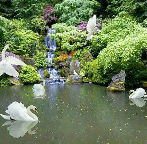 justo_briel55's tweet photo. Good afternonn twitter!! 🌿🌷🌿 https://t.co/aK765Rcf3x