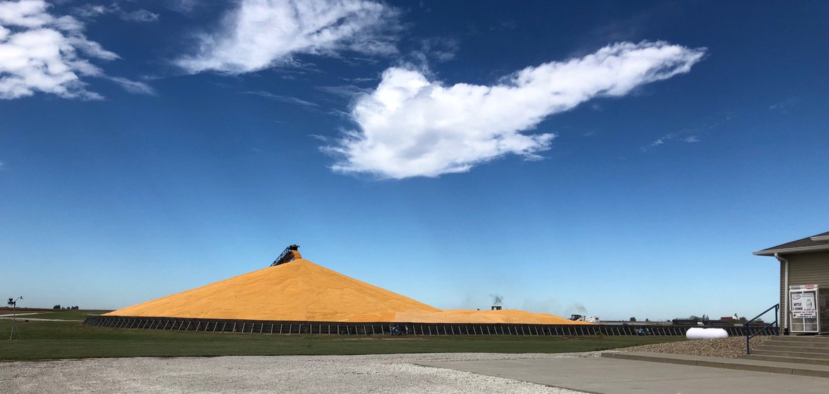 Andrew Paluska tweet media