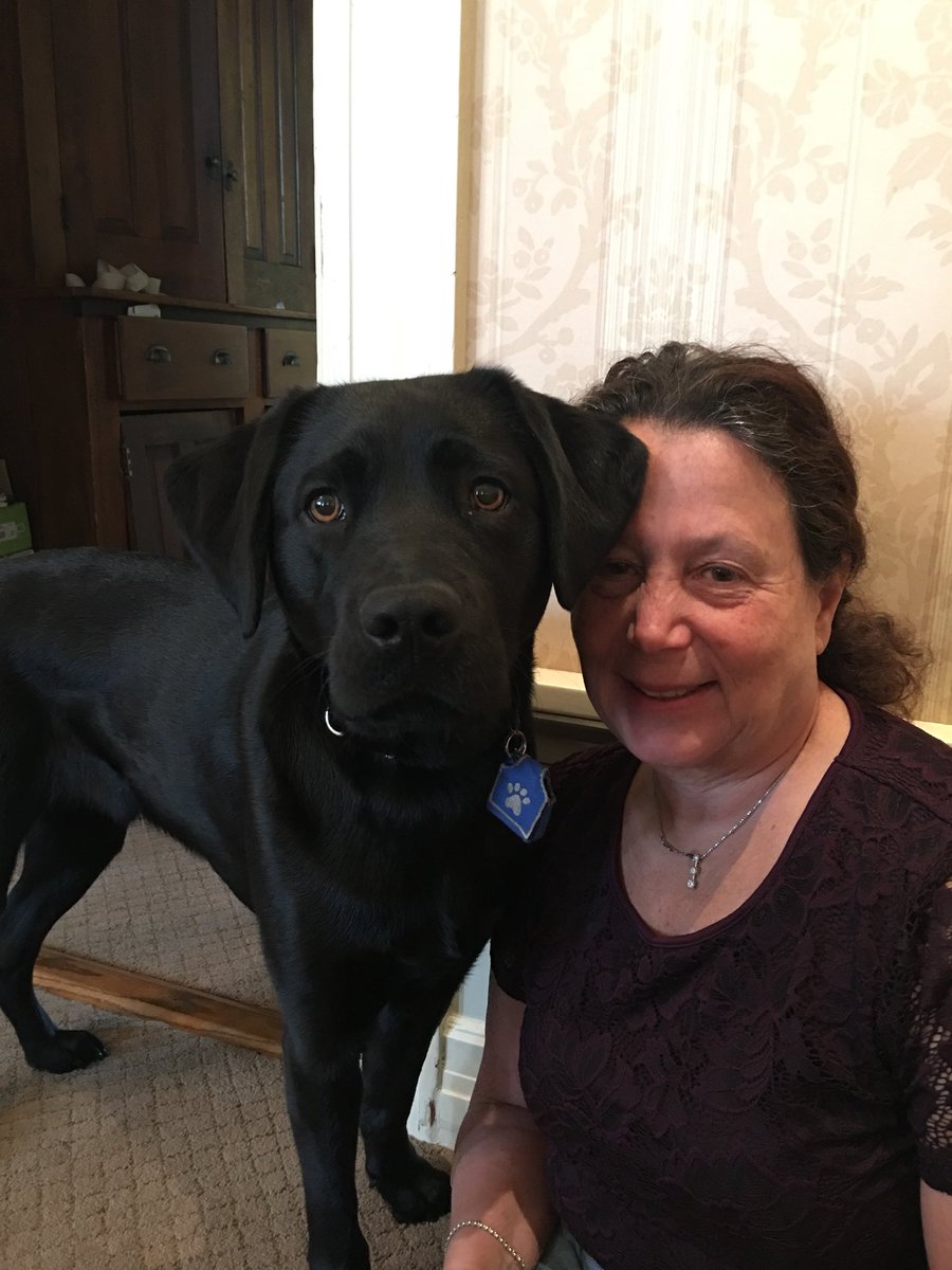 Janni Lehrer-Stein tweet media