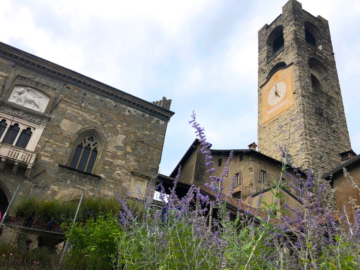 Holding Terra Moretti tweet media