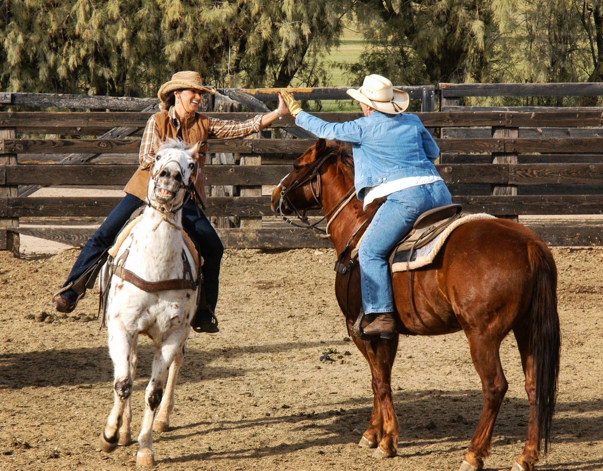 RanchodelosCab's tweet image. This is how we feel about the official 1st day of Fall!  
Only 14 days until season opening.  Have you booked your visit yet?!
#firstdayofautum #firstdayoffall #autum #falltime #duderanch #arizona