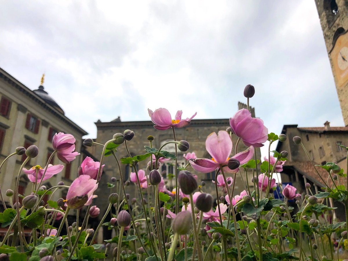 Holding Terra Moretti tweet media