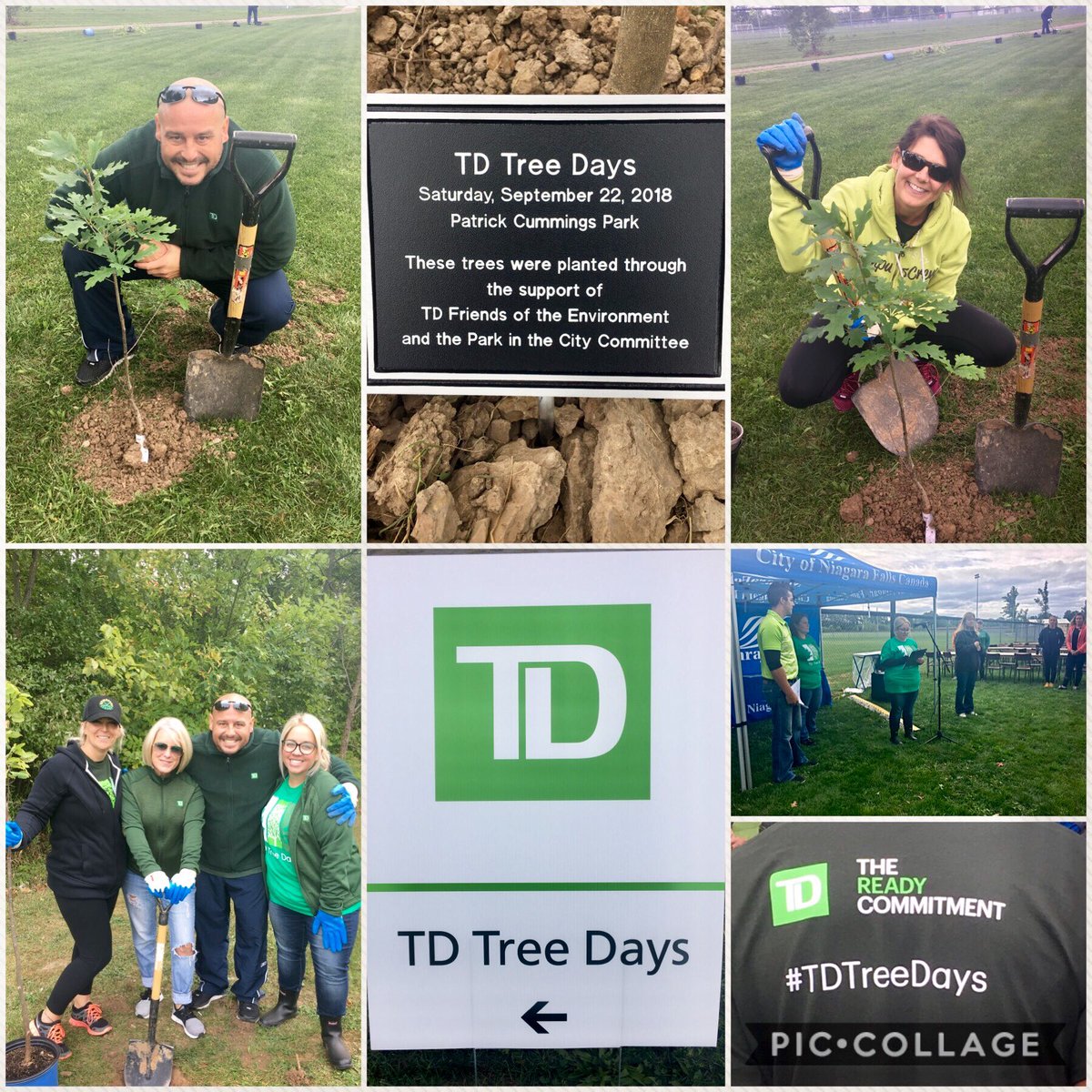 @TDFEF Team #escarpment planting trees 🌲 today. @thegrenvilles <a href="/AKRBell/">Amanda Bell</a> @KAtamanyk <a href="/Niicole1971/">Nicole Hawkins</a> @AIacobelli_TD #tdtreedays