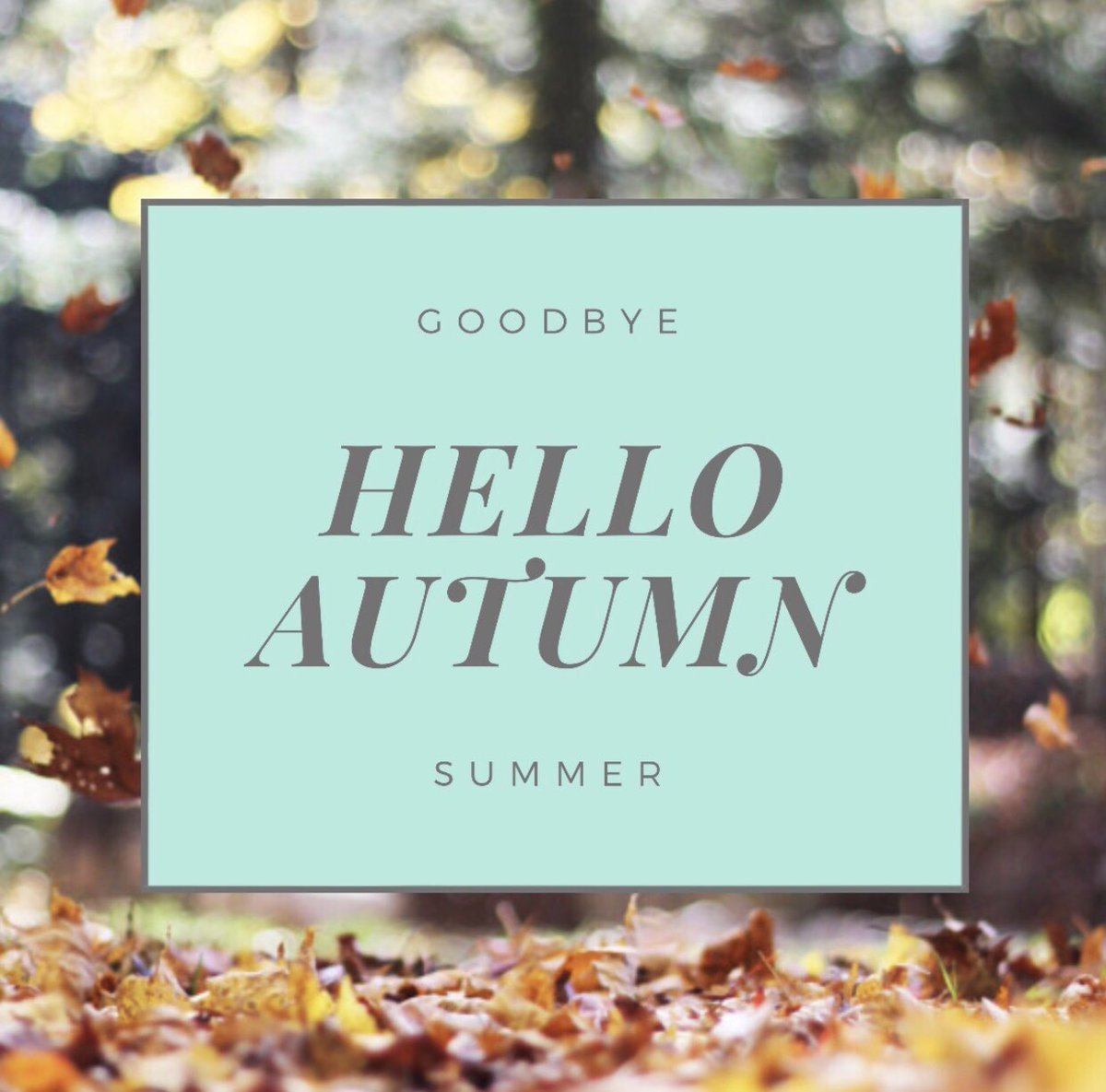 Hey Ganders,
Guess what’s coming! Cold fronts because summers over! How exciting is that right? We had to finally say Goodbye to Summer! Be sure to be safe and be warm! Go Ganders! #FallEquinox <a href="/LeeJuniors_/">REL Class Of 2020</a> <a href="/NHSREL/">REL National Honor Society</a>