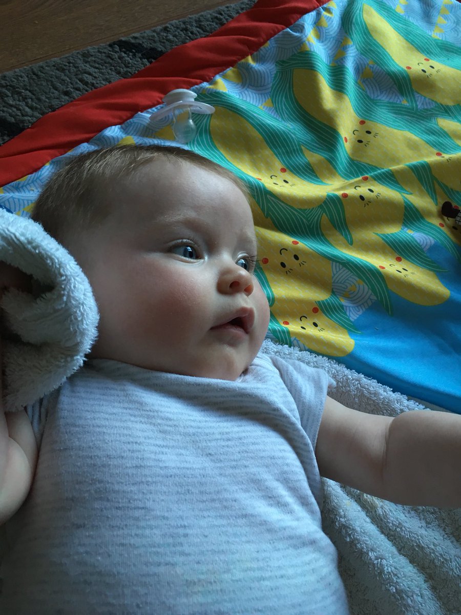 Joanne Murphy tweet media