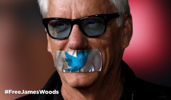 SUPPORT JAMES WOODS !! RT IF YOU DEMAND @Twitter unlock top conservative @RealJamesWoods !! If you don’t bring him back we will leave Twitter........... If I had any twitter stock I would burn it. WE LOVE U JAMES WOODS