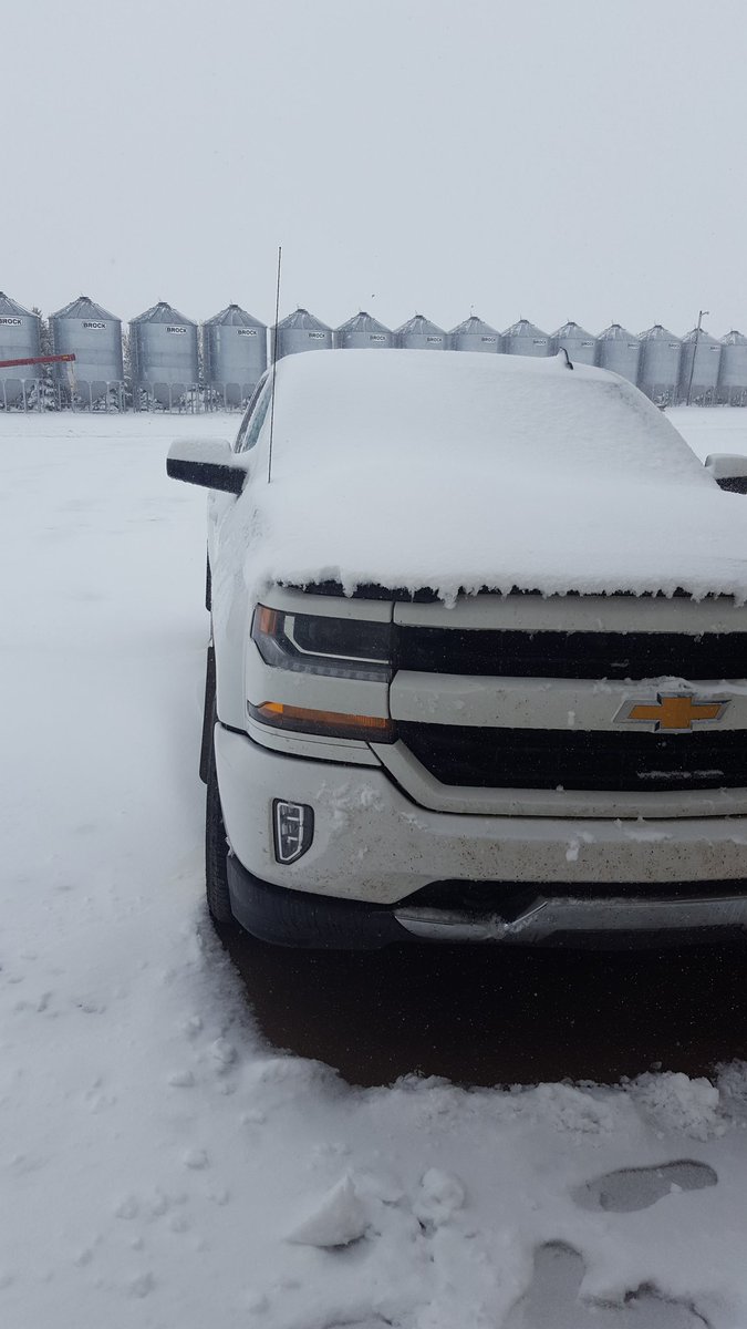 SeCanLauren's tweet photo. Does 1 still take the motor home to Beechy Rodeo in This?? On to Plan B. Guess we don't get Spring or Fall this year. Jomax thinks frisbee in the garage is pretty boring! #rodeohereicome #septembersnowstorm #seeddogsoftwitter Wiseton #Sask https://t.co/SmpSJricMf