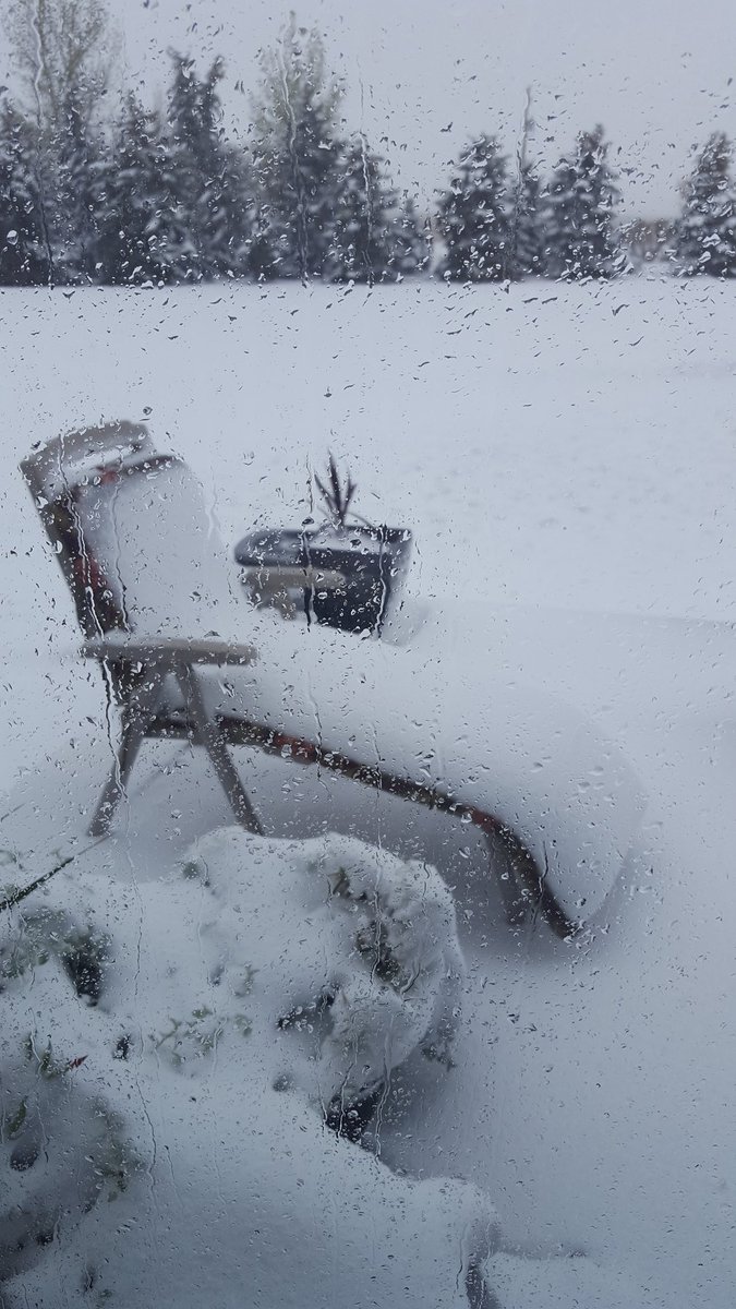 SeCanLauren's tweet photo. Does 1 still take the motor home to Beechy Rodeo in This?? On to Plan B. Guess we don't get Spring or Fall this year. Jomax thinks frisbee in the garage is pretty boring! #rodeohereicome #septembersnowstorm #seeddogsoftwitter Wiseton #Sask https://t.co/SmpSJricMf