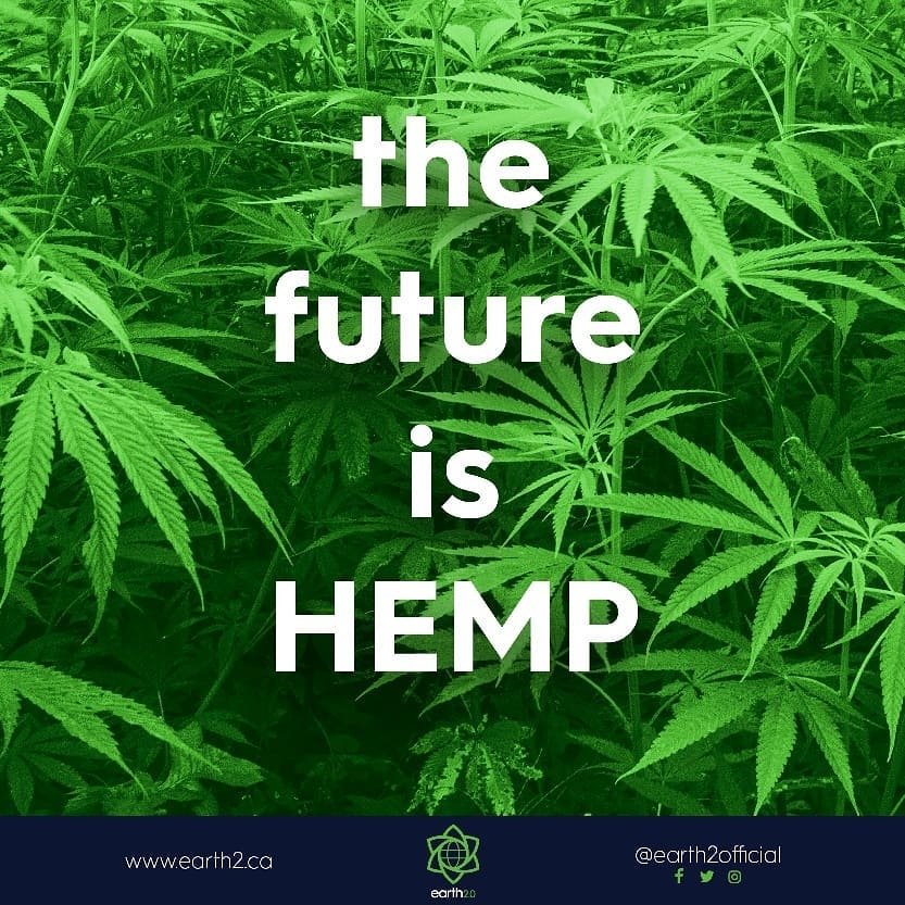 Earth2Official's tweet photo. Yes it is... And we at Earth 2.0 are preparing for the future 😎

#Hemp #future https://t.co/oxj3Xcwju0