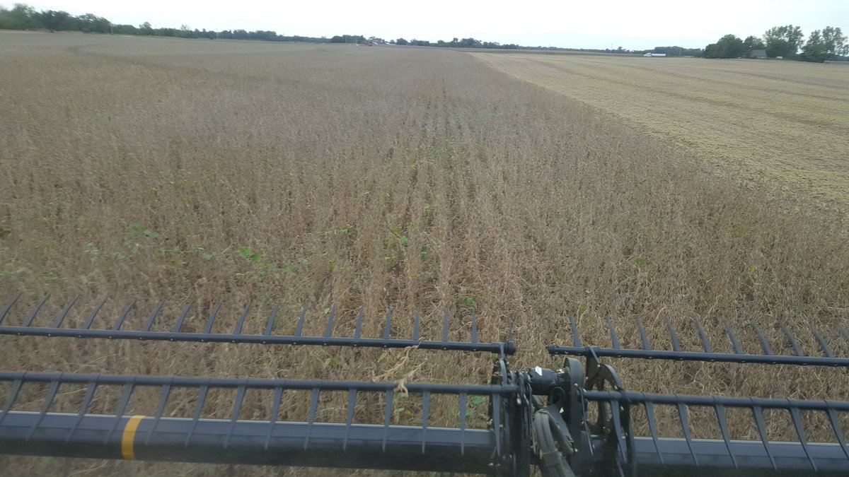 OhioStatePA's tweet photo. #eFields #Harvest18 soybean seeding study . #SeedingIntel #precisionag #cfaes @OhioStateFABE https://t.co/jALkz1Q5RJ