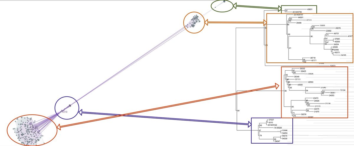 Anthony Underwood tweet media