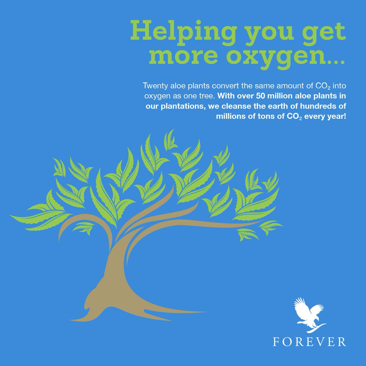 aloewhat's tweet photo. #ForeverAloeVeraGel 
Complete money-back guarantee
100% inner gel, adding just enough other ingredients to produce outstanding products.

https://t.co/qhpPKpS34T
Shah Hadi
Globally recognised / Independent Forever Business Owner for Forever Living Products UK Ltd.
#FLPOW #FNFOH https://t.co/OU3uHVgyTx