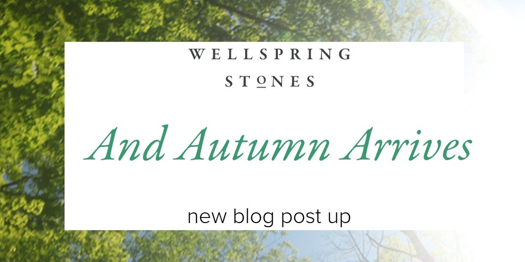 WellspringStone's tweet image. Now we “reap what we sow,” &amp;amp; work 4 justice; collect ourselves; complete projects; offer thanks; support women. We are gathering a storm to bring justice. Here r 10 rituals 2 strengthen ourselves &amp;amp; our resolve #FirstDayofFall cassandrametzger.com/news-notes/201…