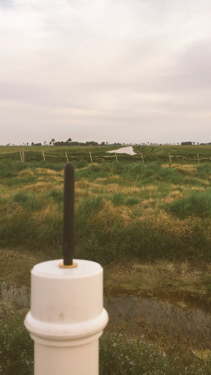 rice_tor's tweet photo. Seguimos recorriendo y probando nuestra tecnología...8,5km de distancia entre la base y los sensores!!!. No tuvimos tiempo de probar si llegaba mas lejos! #agtech #hechoenuruguay #iot #ricetech https://t.co/1IBzITYYtU