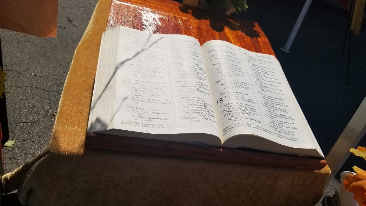 Bible/Cook Book Stand $40