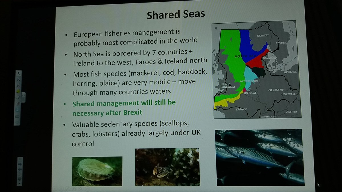CapturingRCoast's tweet photo. @BD_Stew is our fantastic guest speaker talking about fisheries science and the implications positive and negative for sustainable fisheries. #Cocoast Awards night east coast. https://t.co/hBUfnlC6hF