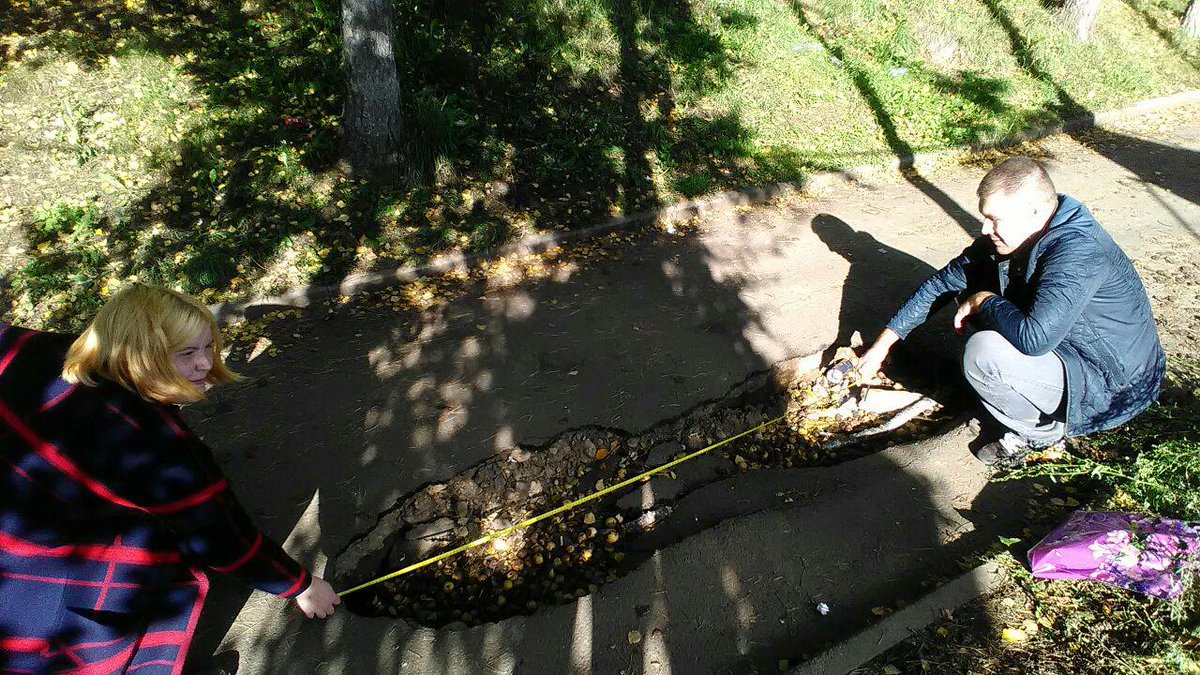 teamnavalny tweet picture