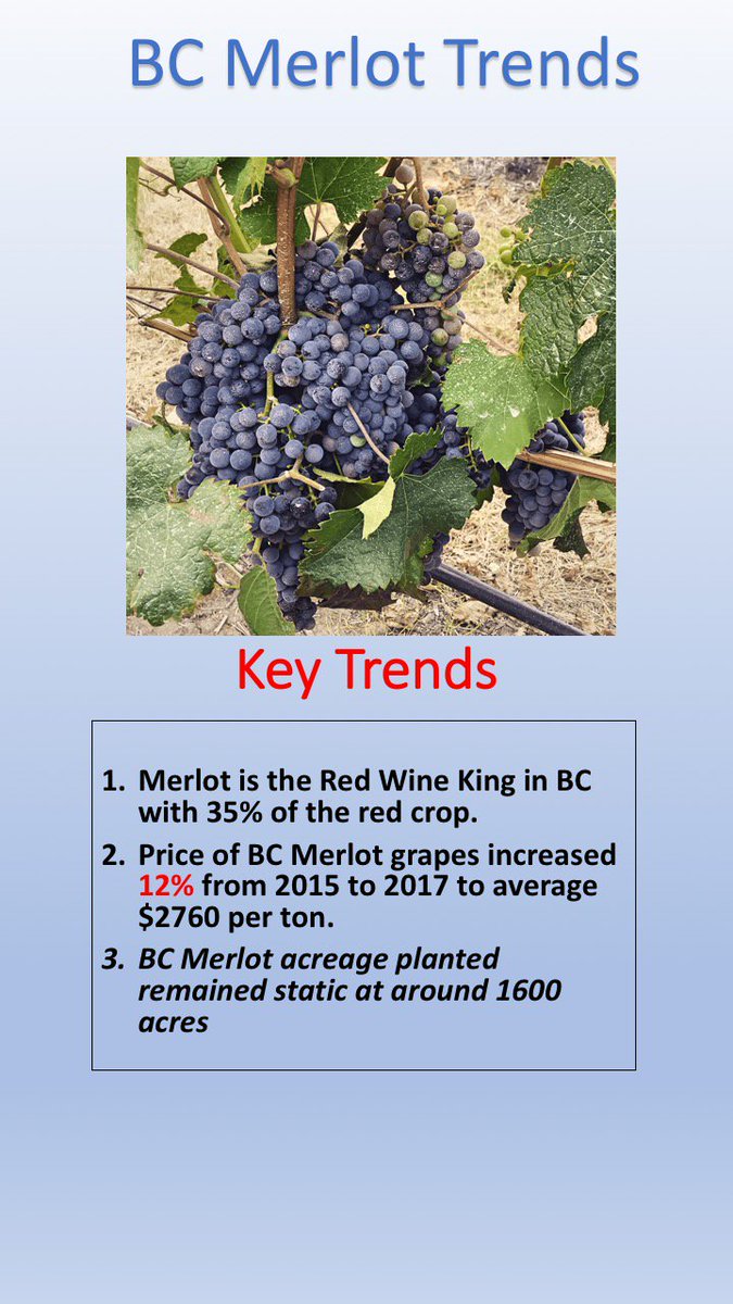 #bcwine trends tweet media