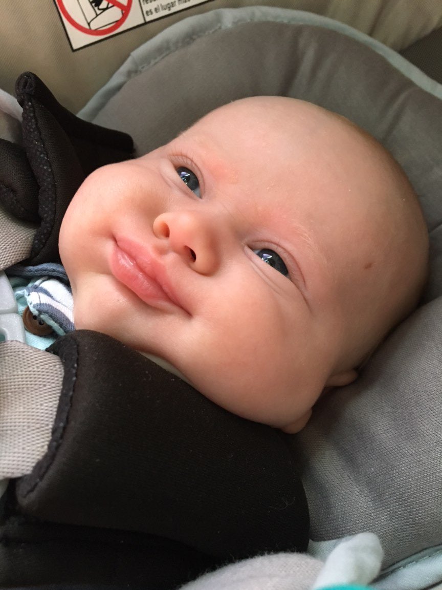 Josh Bearden tweet media