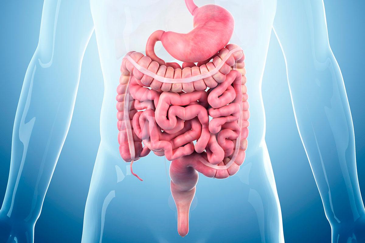 A tiny robotic capsule could roam your intestines and suck up mucus bit.ly/2puIGX0