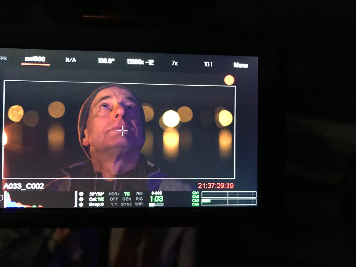 The Accidental Wolf tweet media