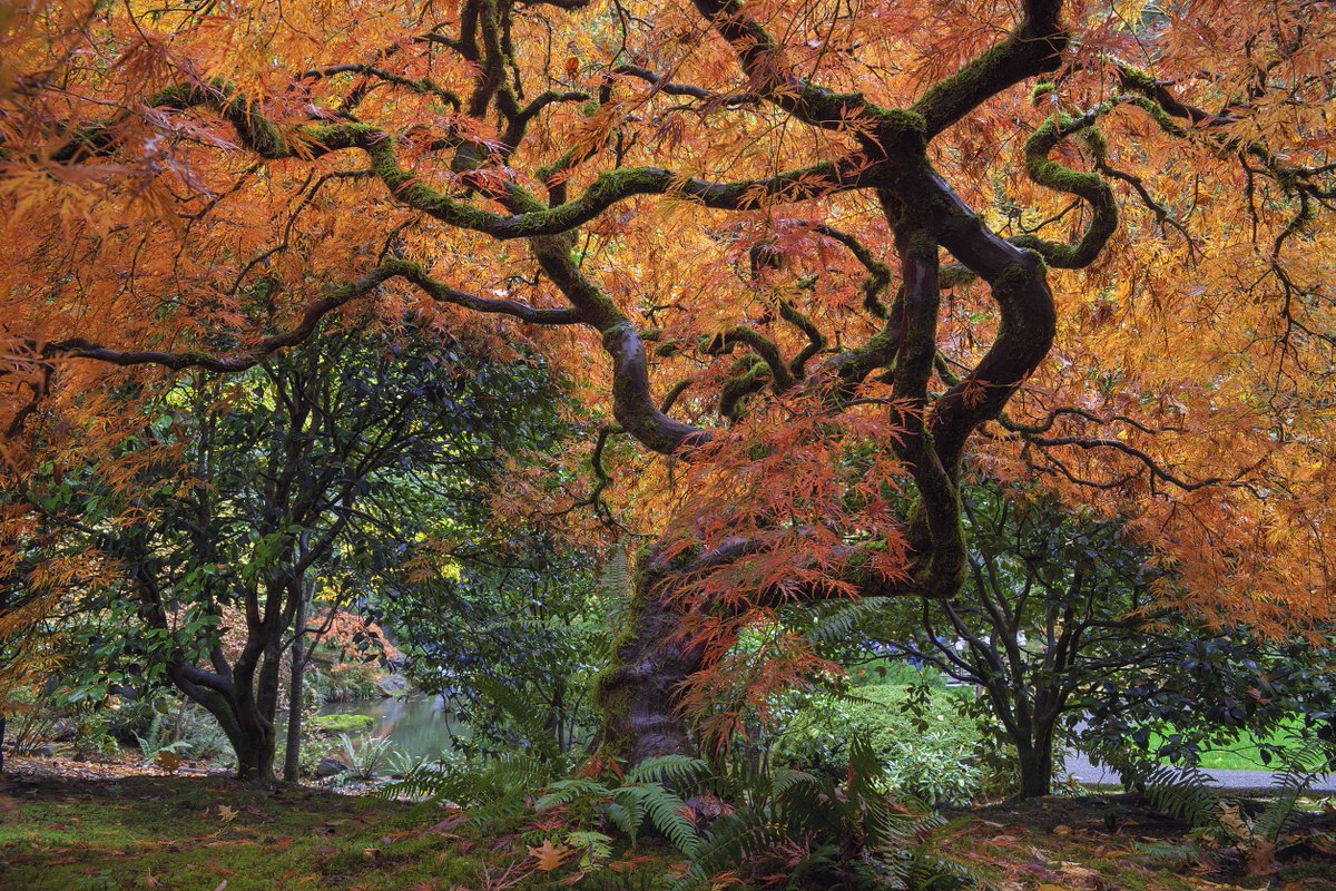FettleBotanic tweet picture