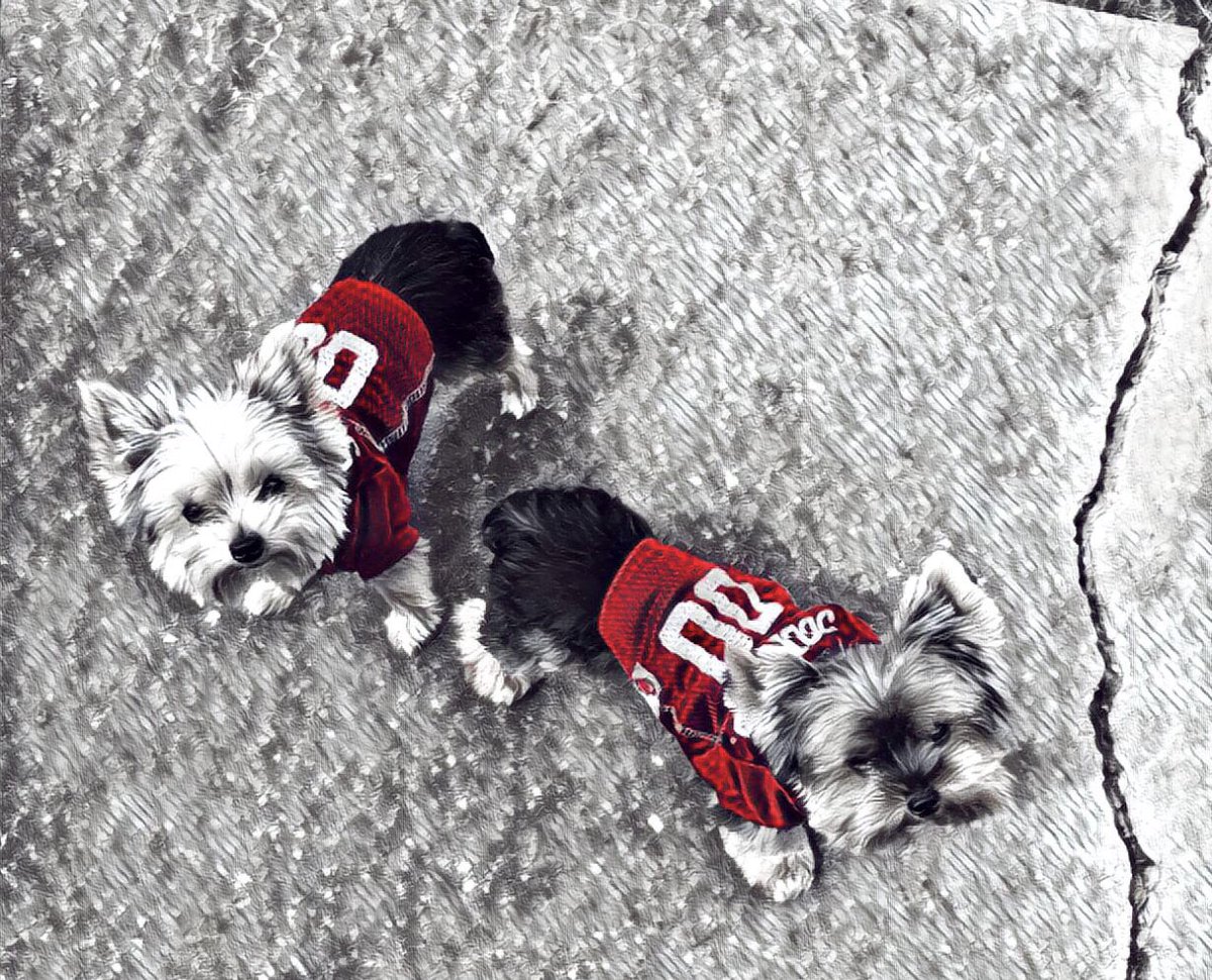 tre0808's tweet photo. Jerseys on!  Hurry up and wait!  #BoomerSooner #yipandyap https://t.co/AzG0mwi71z