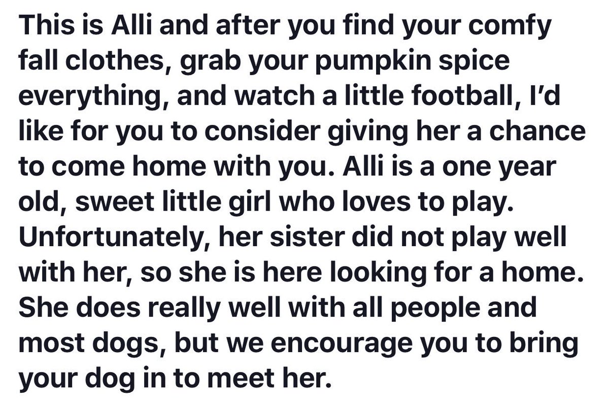 ToledoHumane's tweet photo. ALLI 1 yr. old 🐶♥️ #Adopt https://t.co/2e8MdeQpql