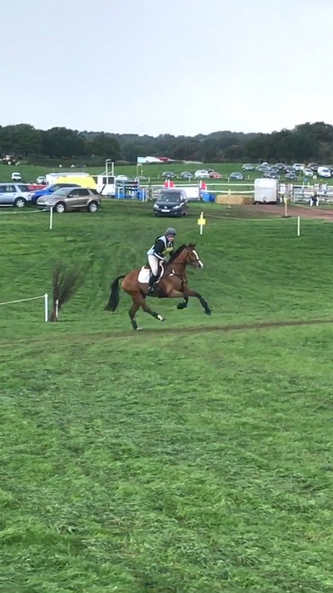sarahahedges's tweet photo. Great time @ Kelsall! 1st timer 5yo Igna was DC & 7th, Jilly's Jubilee FOD of 25.3 5th, Showgirl H had 1 down & clr XC for 9th! #goodponies https://t.co/Occt09BxUX