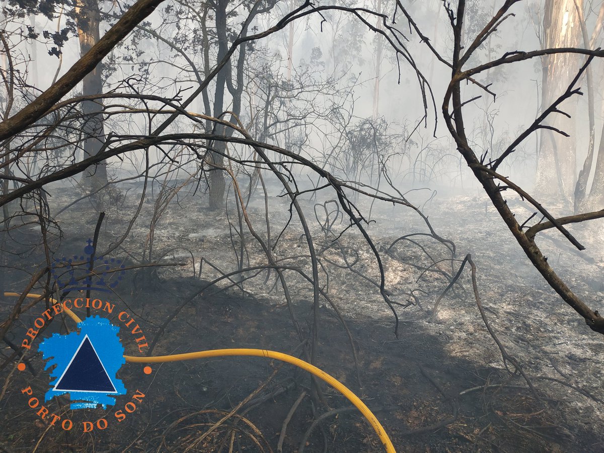 Hoy estuvimos colaborando en las tareas de extinción en el #IFSanpedrodeMuroPortodoSon que puede rondar las 18Ha quemadas...solo queda agradecer a todos los compañeros de los distintos grupos que participaron, por sus esfuerzos en controlarlo lo más rápido posible 👏👏