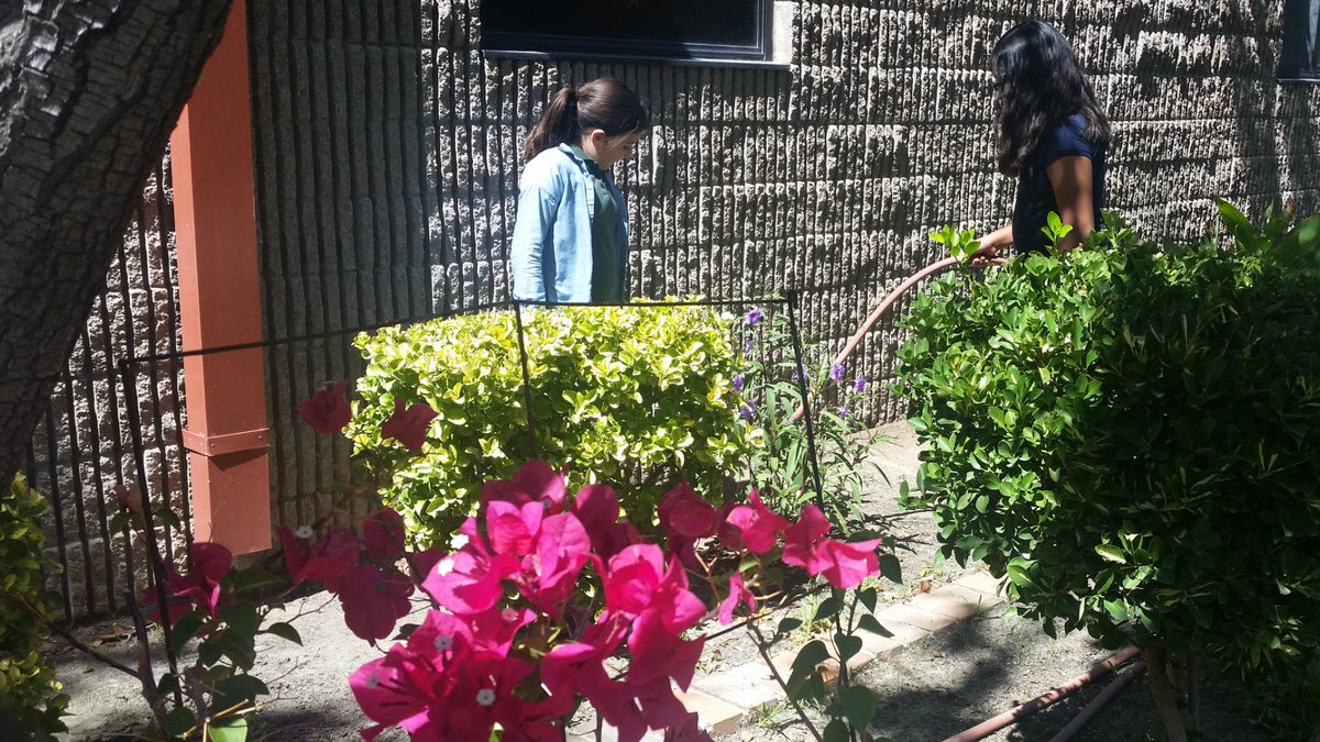 AvalosLibrarian's tweet photo. Taking care of our #LibraryintheSun #NurturingLearners #StallionsLeadtheWay #SISD_READS https://t.co/lRh3O14y51